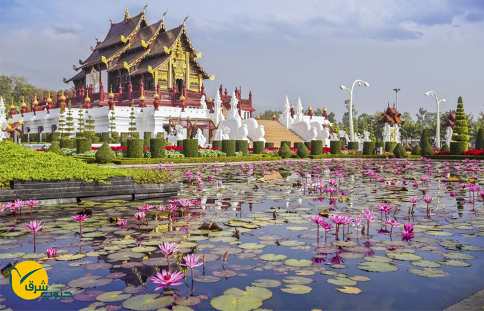 db.tour-related.title