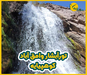 db.tour-related.title