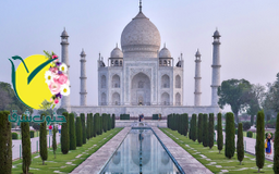 تور هند ویژه نوروز 1405