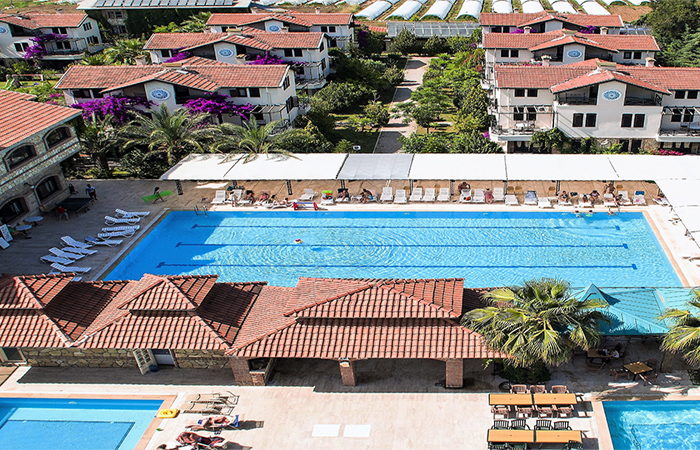 db.tour-related.title