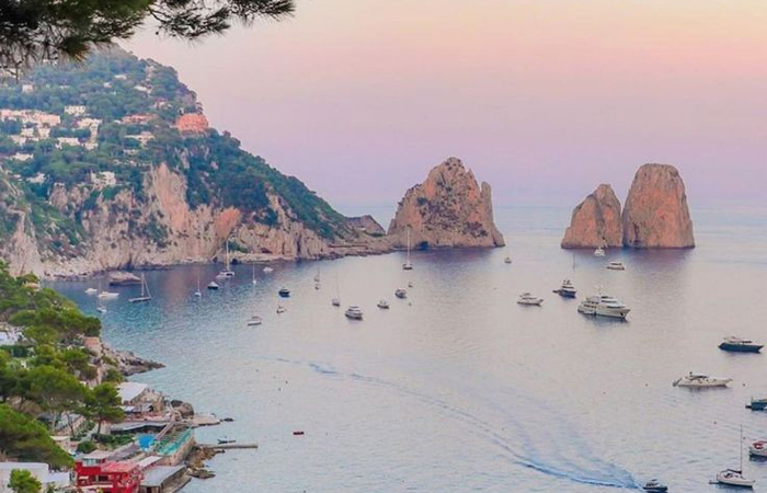 db.tour-related.title