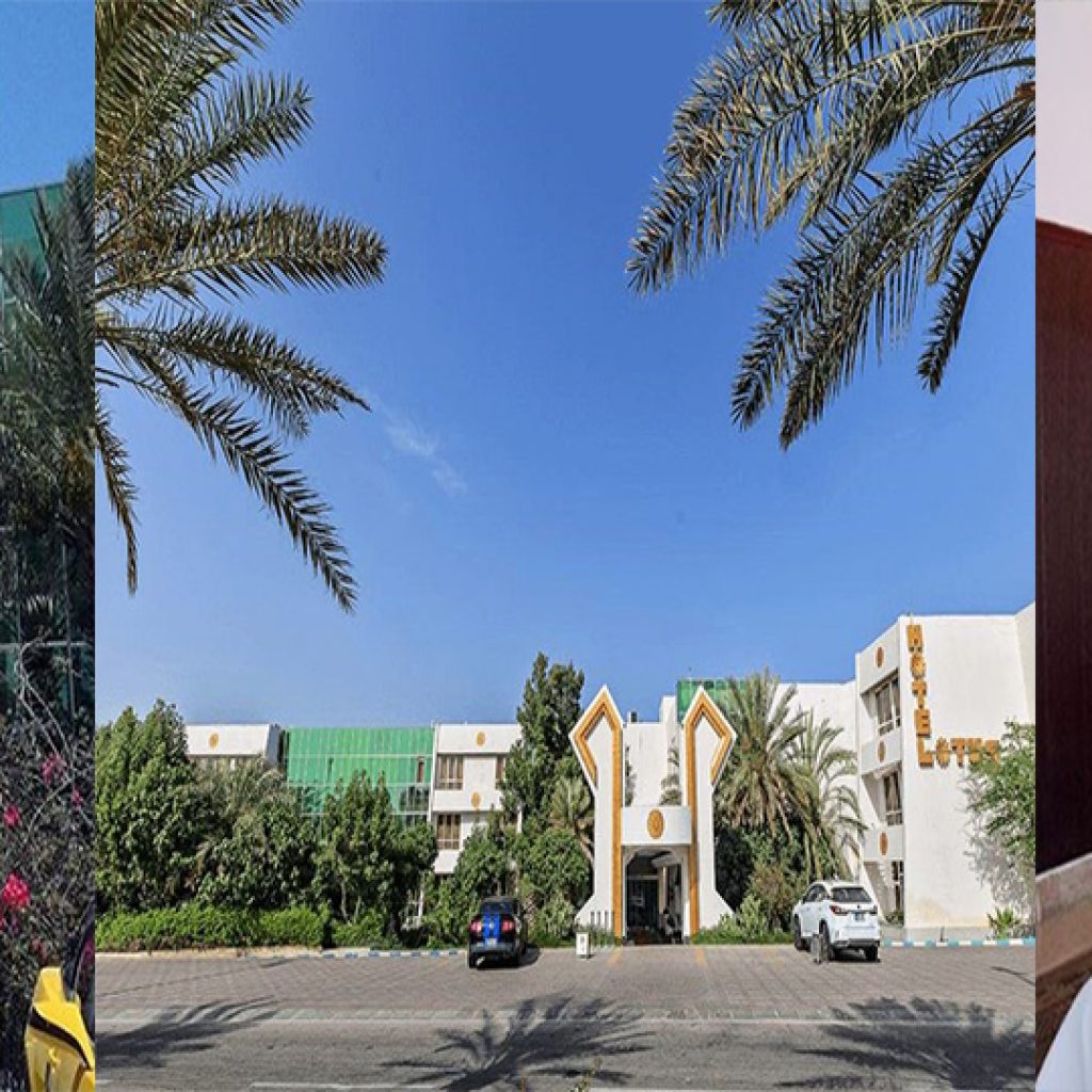 db.tour-related.title