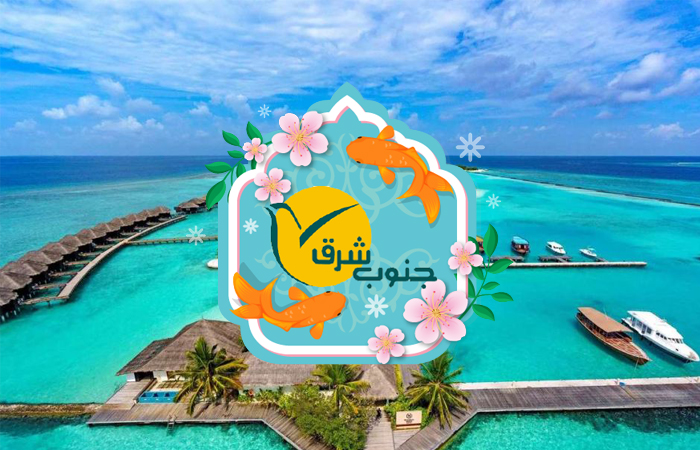 db.tour-related.title