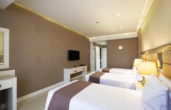 db.tour-related.title