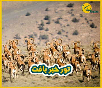 db.tour-related.title