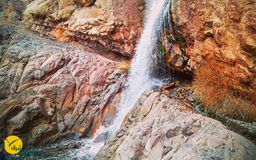 تور راین از کرمان