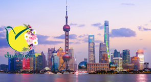 db.tour-related.title