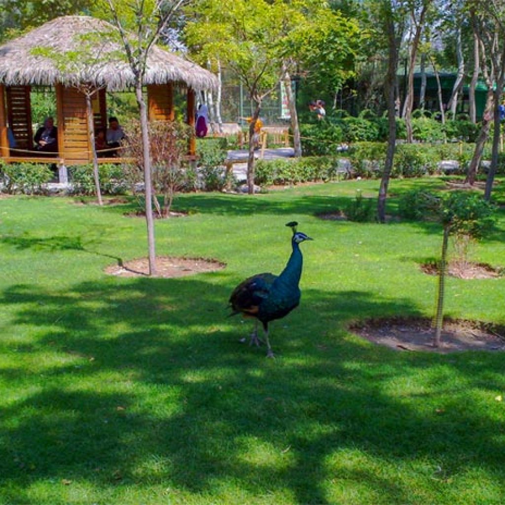 باغ پرندگان مشهد