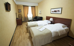 تور تفلیس -هتل لردز- از کرمان