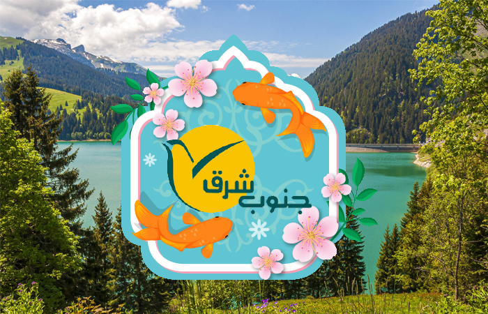 db.tour-related.title