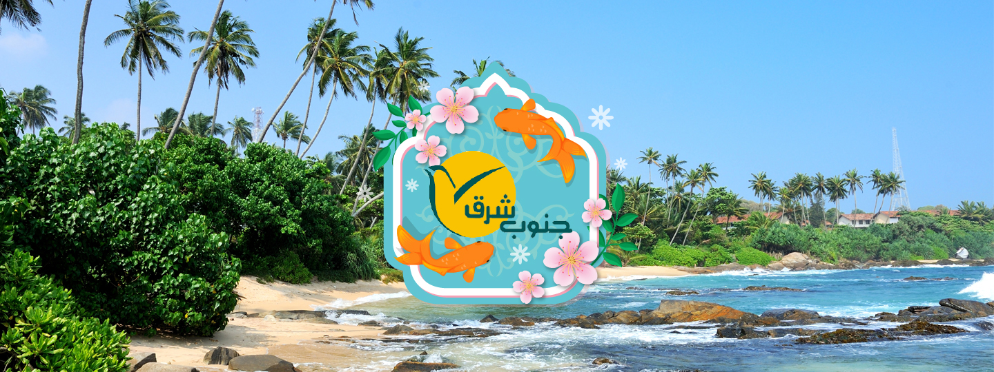 db.tour-related.title