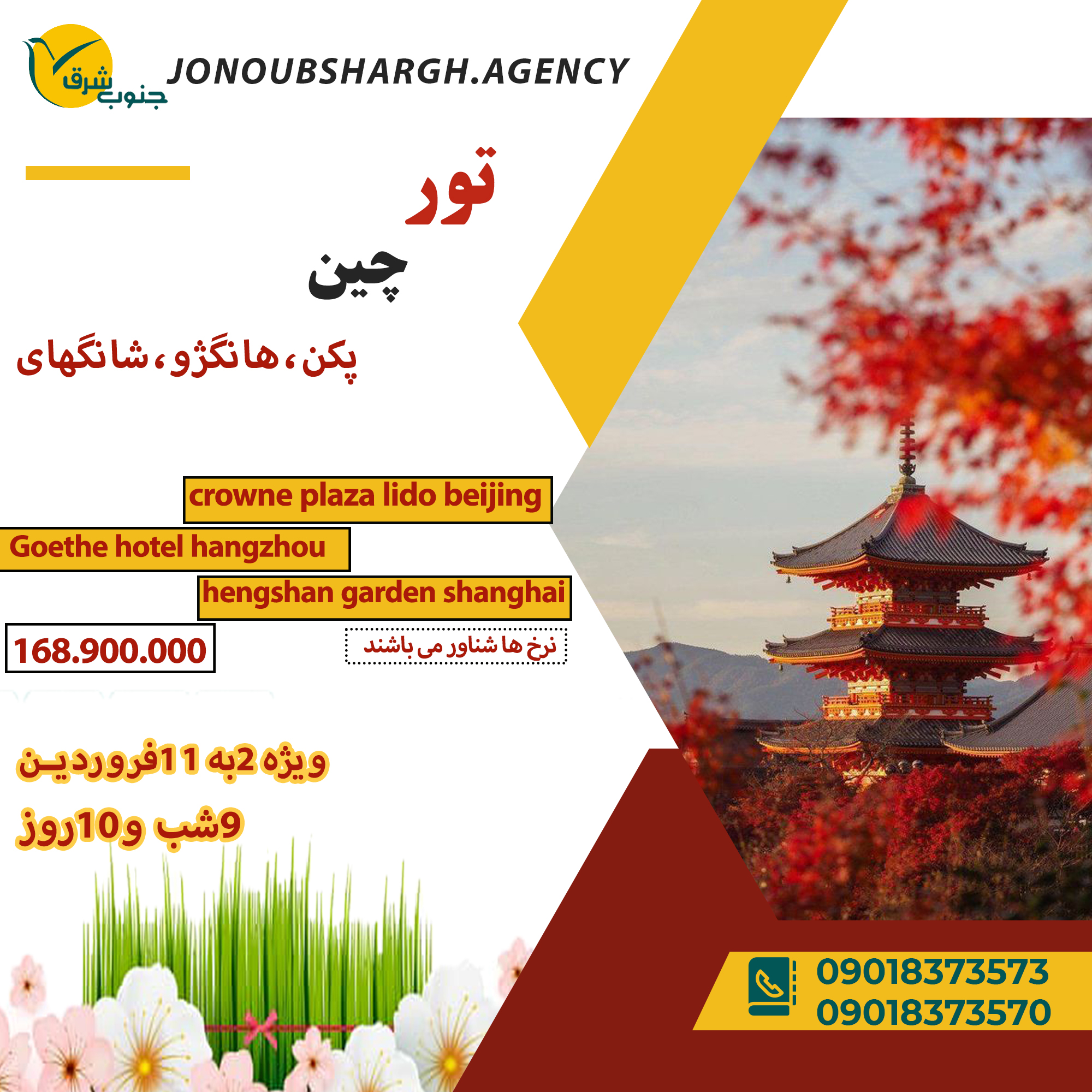 db.tour-related.title