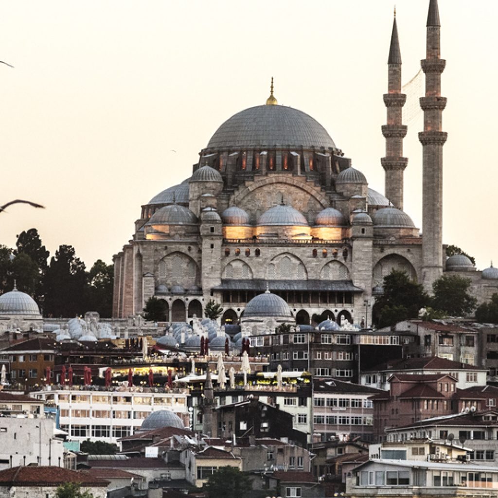 db.tour-related.title