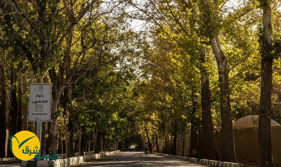 خیابان افلاطون راین