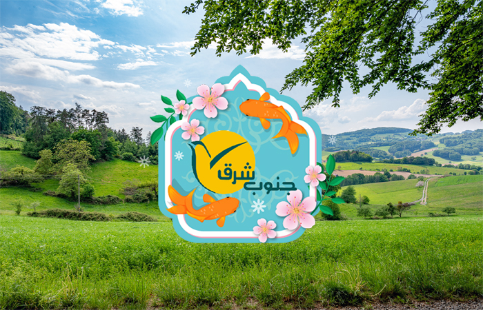 db.tour-related.title