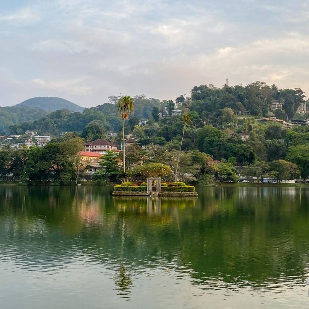 db.tour-related.title