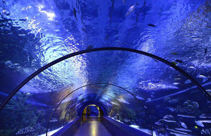 آکواریوم آنتالیا