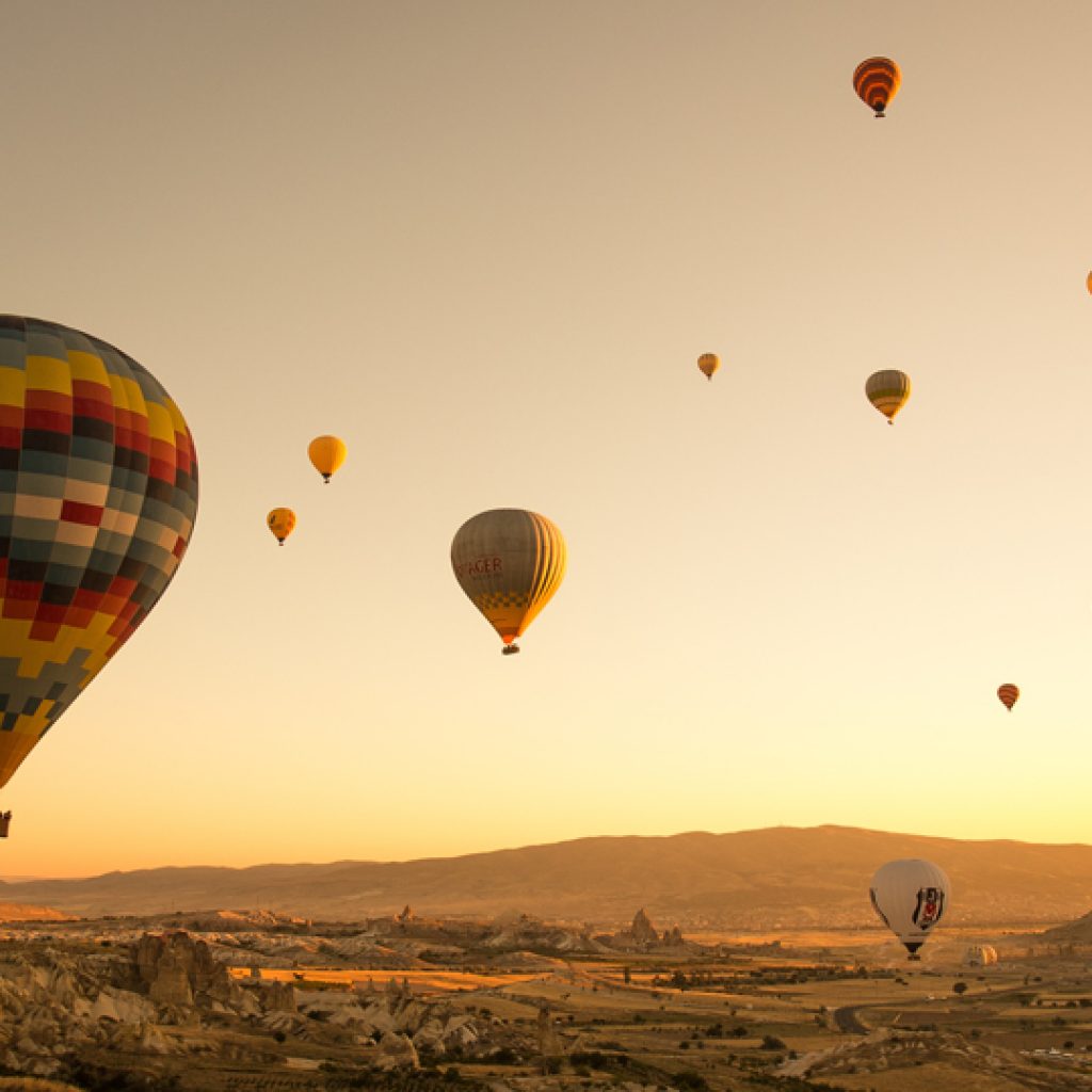 db.tour-related.title