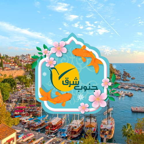 db.tour-related.title